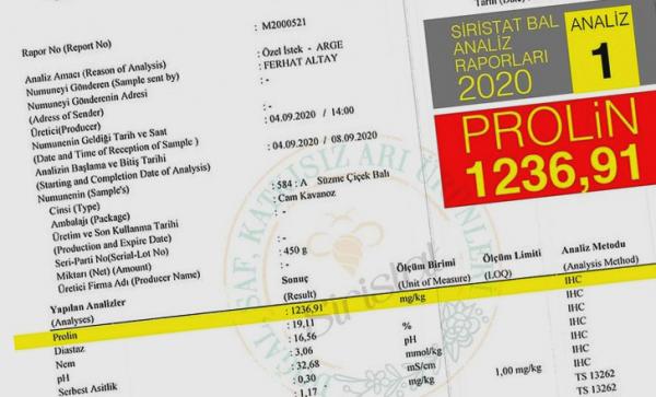 Balın Saf, Gerçek, Hakiki, Orijinal Organik En İyi Kalite Bal Olduğunu Anlamanın Tek Yolu