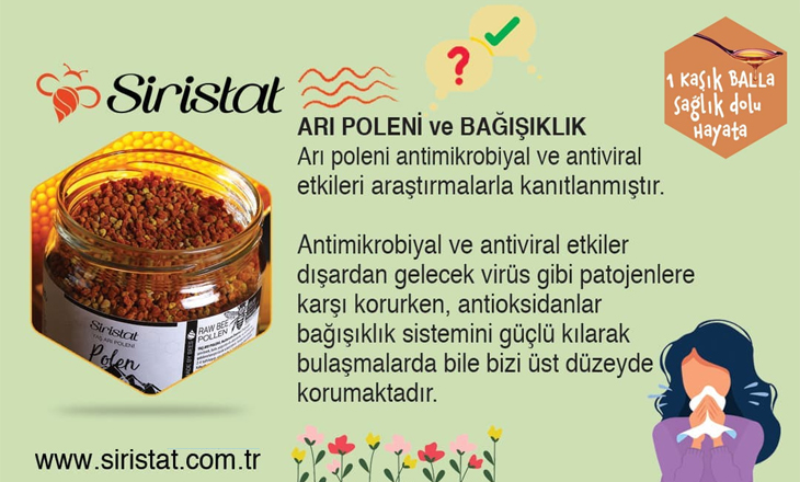 Arı Poleni Bağışıklık Güçlendirici Mi, Faydalı Mı?