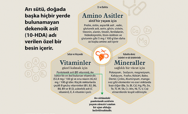 Orjinal, Hakiki Arı Sütü İçindekiler, İçeriği, Fiyatı, Satışı, Siparişi