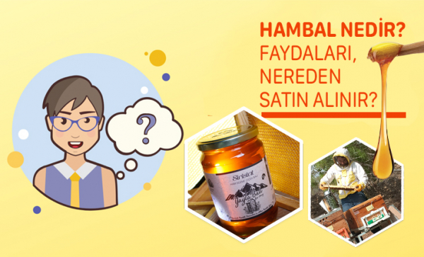 Hambal Nedir? Sağlığa Faydaları Nelerdir? Hambalı Nereden Satın Alabilirsiniz?