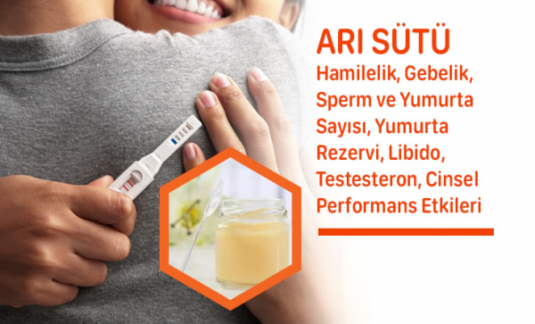 Arı Sütü Doğurganlık, Antral Folikul, Yumurta Rezervi, Sperm Sayısı Faydaları