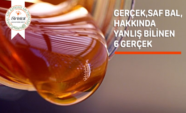 Gerçek ve Hakiki Bal Hakkında 6 Şehir Efsanesi 