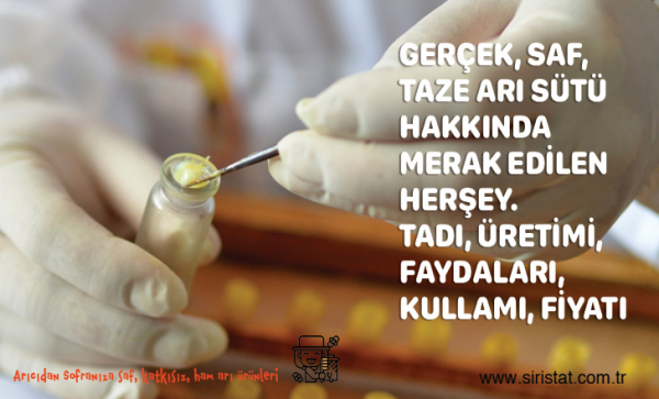 Saf, Taze, Gerçek Arı Sütünün Doğal İyiliği Hakkında Herşey