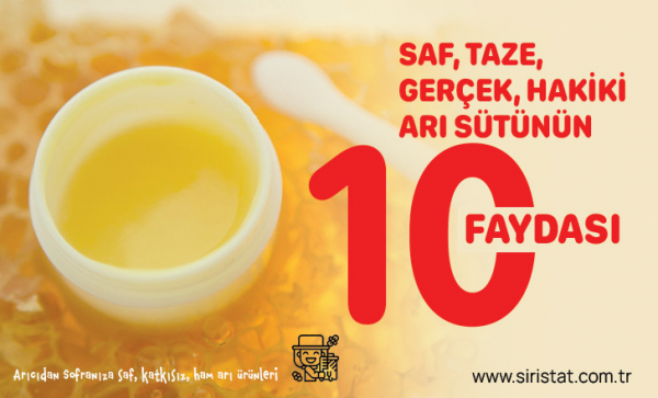 Saf, Taze, Gerçek, Hakiki Arı Sütünün 10 Faydası