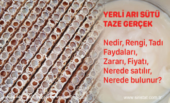 Yerli Taze Arı Sütü Üretici Arıcıdan Faydaları, Satışı  Fiyatı Kullanımı