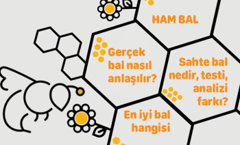 Sahte Bal ile Gerçek Ham Bal Arasındaki Fark Nedir?