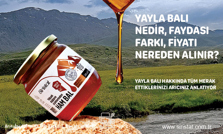 Yayla Balı Nedir, Farkı, Özellikleri, Faydaları, Fiyatları Arıcınız Anlatıyor