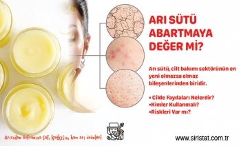 Arı Sütü Cilde İyi Gelir mi, Yüze Sürülür mü, Beyazlatır mı, Kolajen İçerir mi?