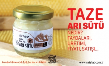 Taze Arı Sütü: Arıların Doğal Sağlık Deposu