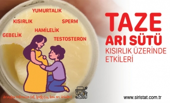 Arı Sütü Kısırlık, Hamilelik, Sperm, Yumurta, Çocuk Sahibi Olmak İçin Kullanılır mı?