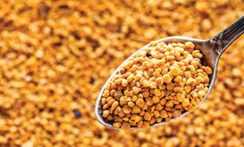 Polen Ne İşe Yarar, Faydalaları Nedir?