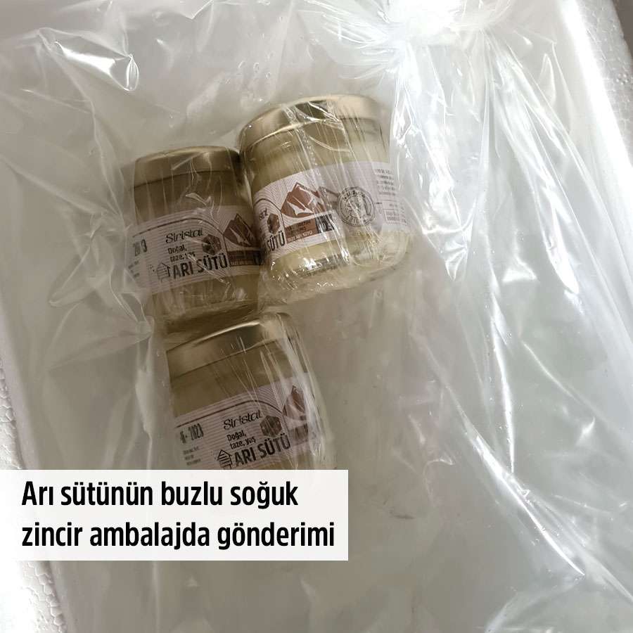 ari sutu satin al