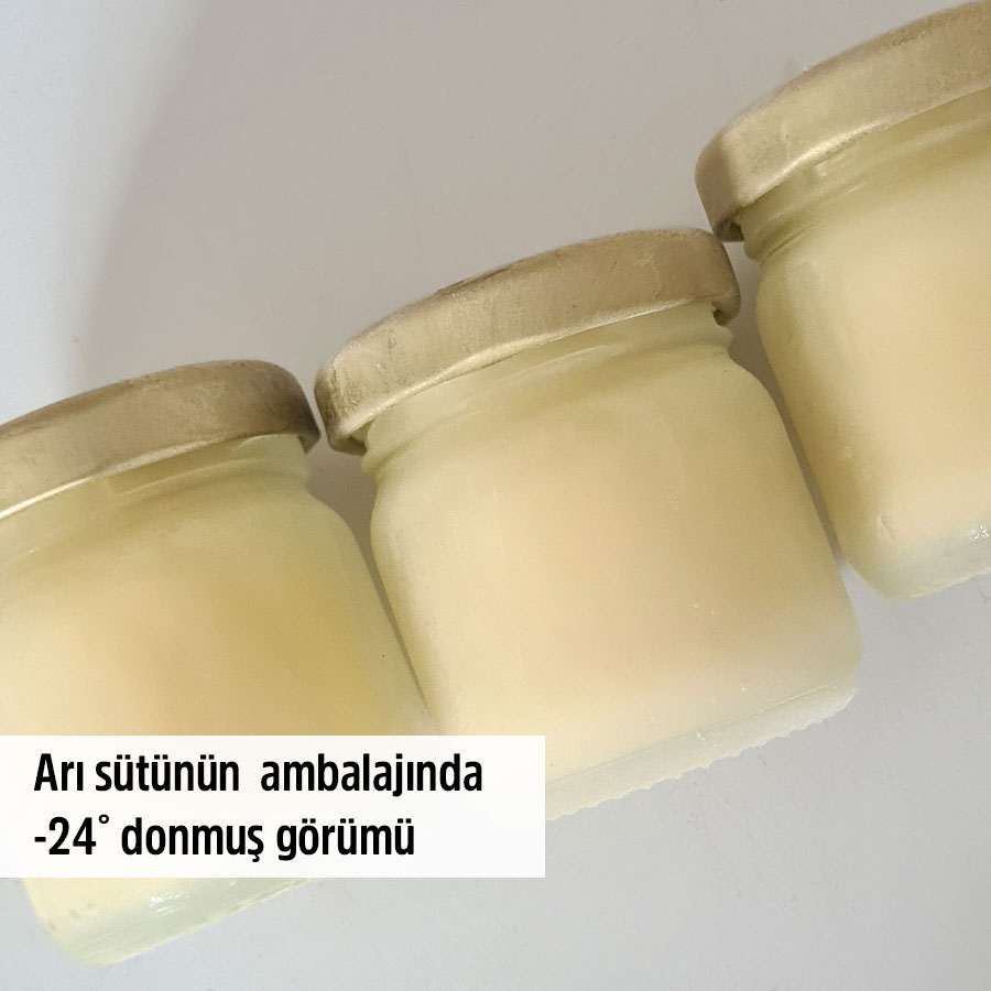 organik ari sutu