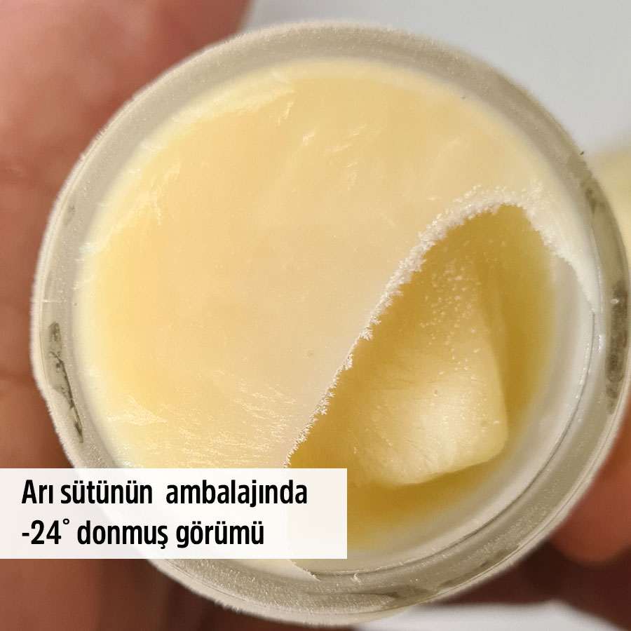 saf ari sutu fiyati
