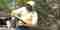 This image for Image Layouts addon